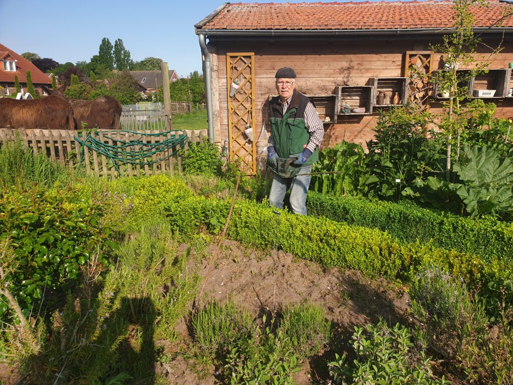 Heinz Olbertz schneidet die Buchsbaumhecke im Kräutergarten