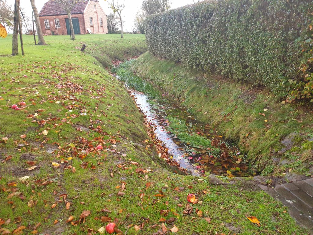 Das Wasser muss abfließen können, daher sind im Herbst die Gräben aufzureinigen