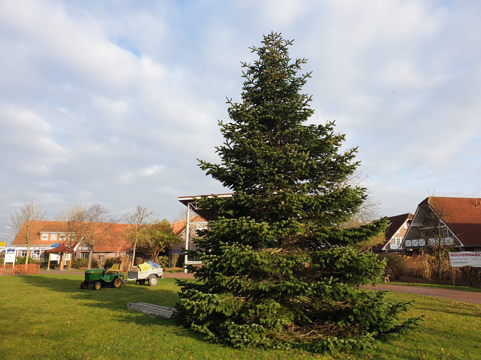 Weihnachtsbaum auf dem Dorfplatz erstrahlt Werdumer Blatt Weihnachtsbaum auf dem Dorfplatz erstrahlt Werdumer Blatt
