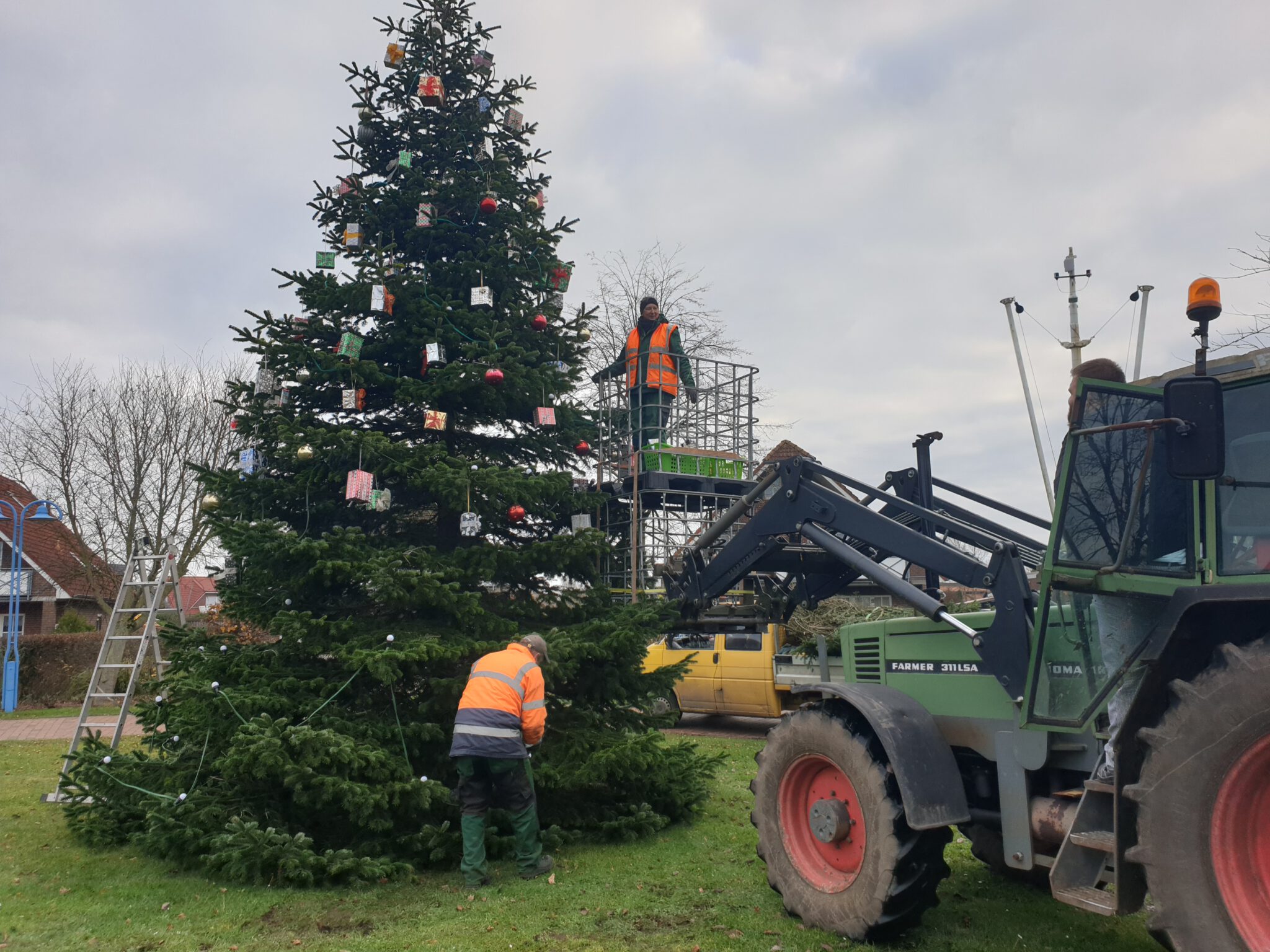 Weihnachtsbaum auf dem Dorfplatz erstrahlt Werdumer Blatt Weihnachtsbaum auf dem Dorfplatz erstrahlt Werdumer Blatt