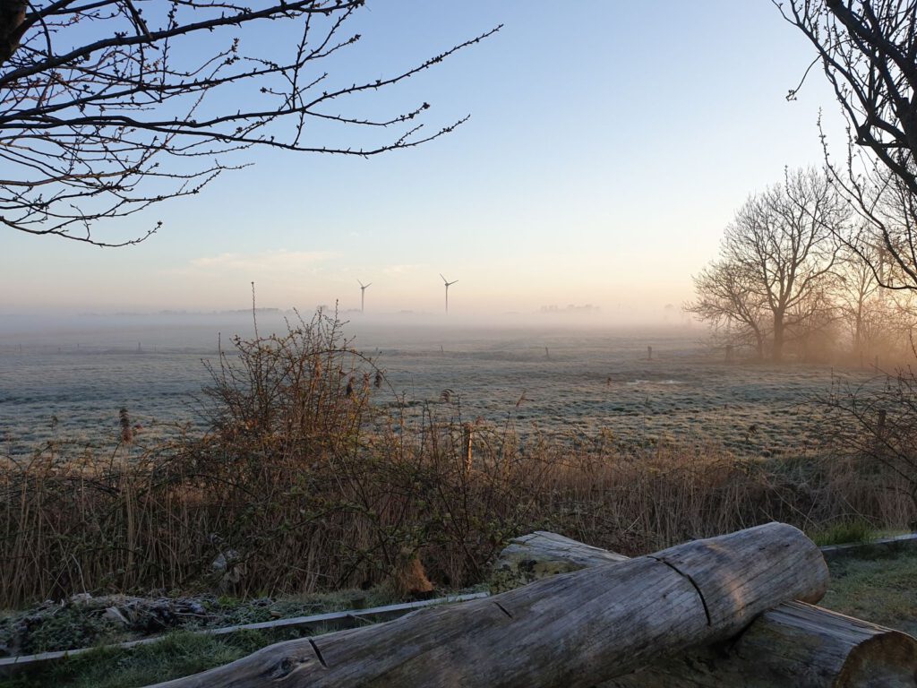 leichte Nebelschwaden ziehen übers Land und trüben den Blick auf die Windkraftanlagen