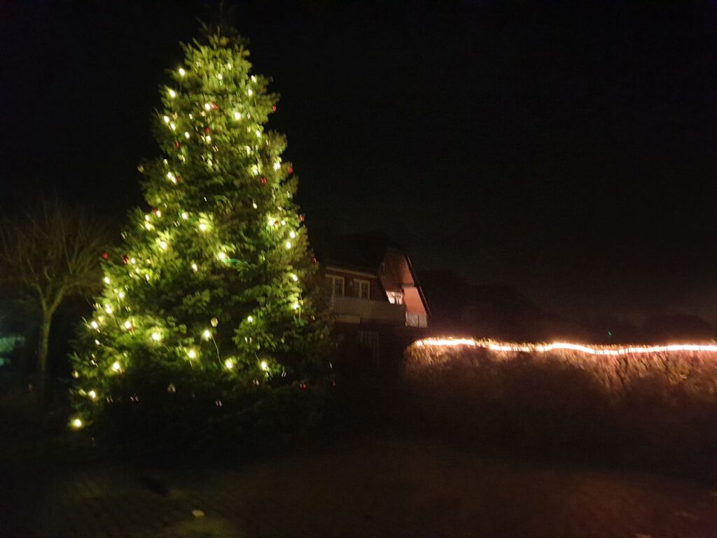 Der Weihnachtsbaum des "Puddings" an der Thunumer Straße