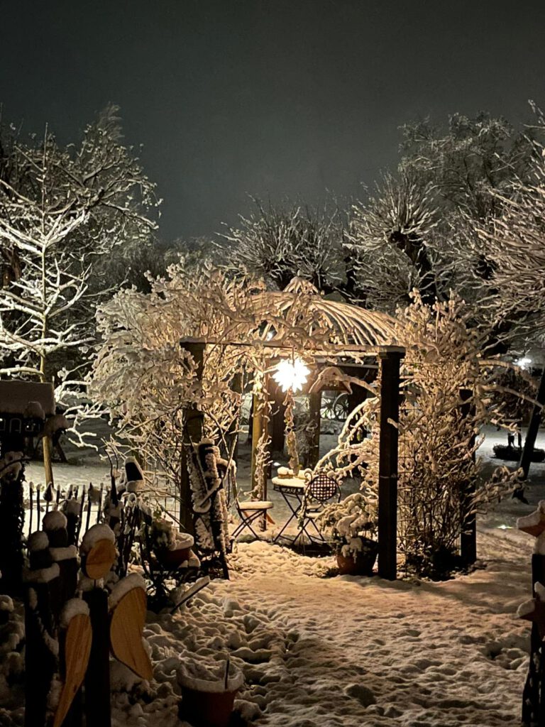 Winterzauber in Rodenbäck`s  Garten