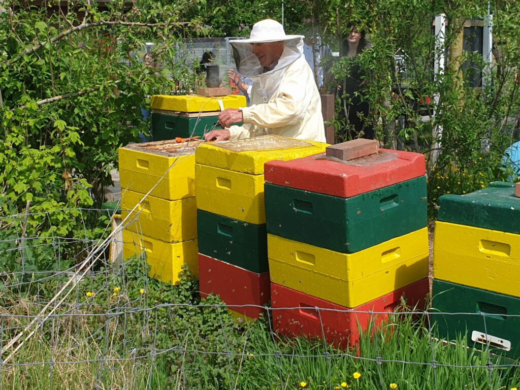 Der Imker Jürgen Saathoff bei der Arbeit an seinen Bienenstöcken im Haustierpark