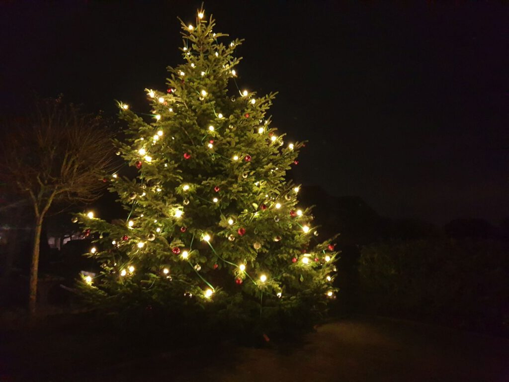 Der Weihnachtsbaum des "Puddings" leuchtet hell