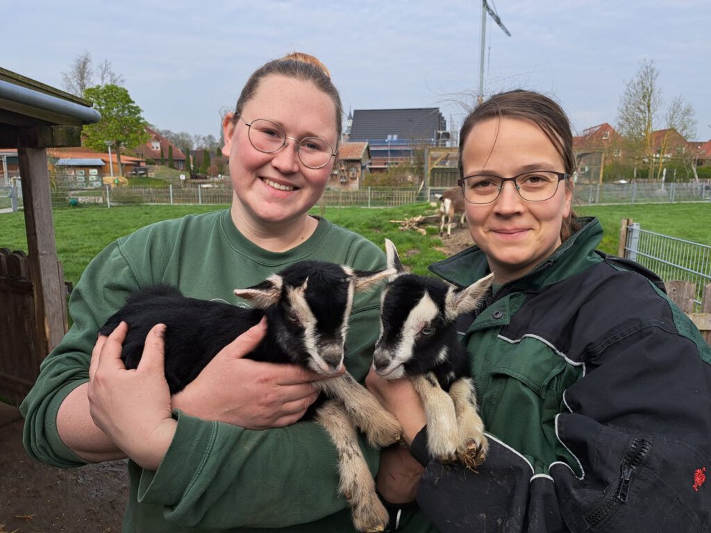 Da gehen auch den Tierpflegerinnen die Herzen über. Kristin Bienert und Stefanie Runge freuen sich über die Neuankömmlinge "Steffi" und "Heiko"