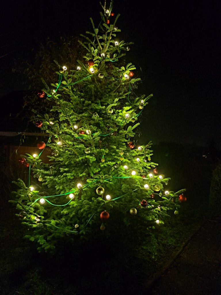 Der Weihnachtsbaum am "Pudding" leuchtet weithin