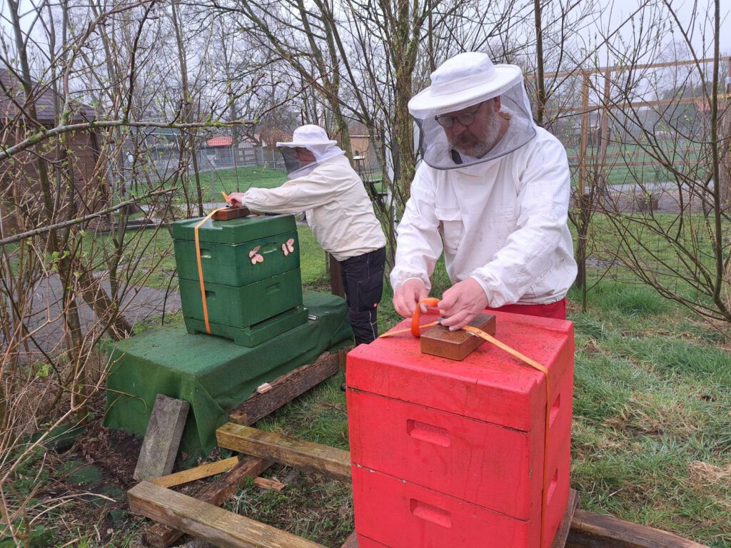Gut geschützt stellen Uwe und Claudia Graalmann ihre ersten Bienenstöcke im Haustierpark auf