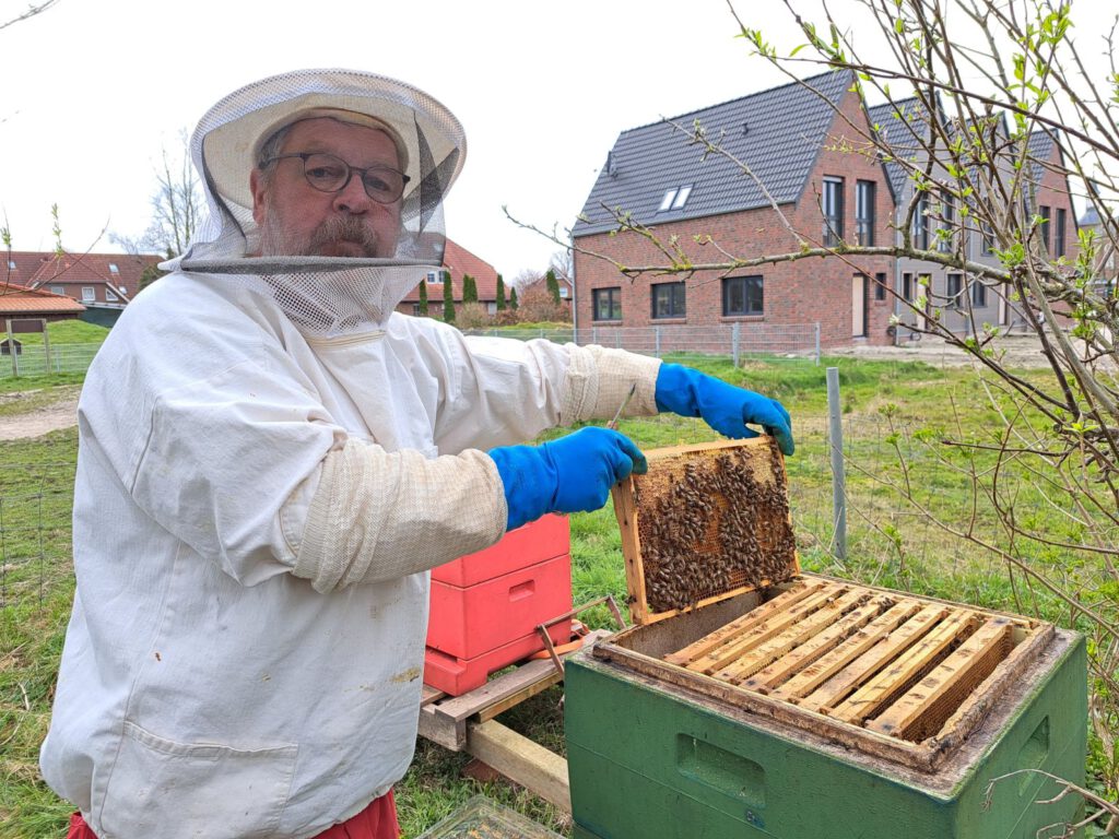 Imker Uwe Graalmann zeigt den Besuchern eine von Bienen besetzte Wabe