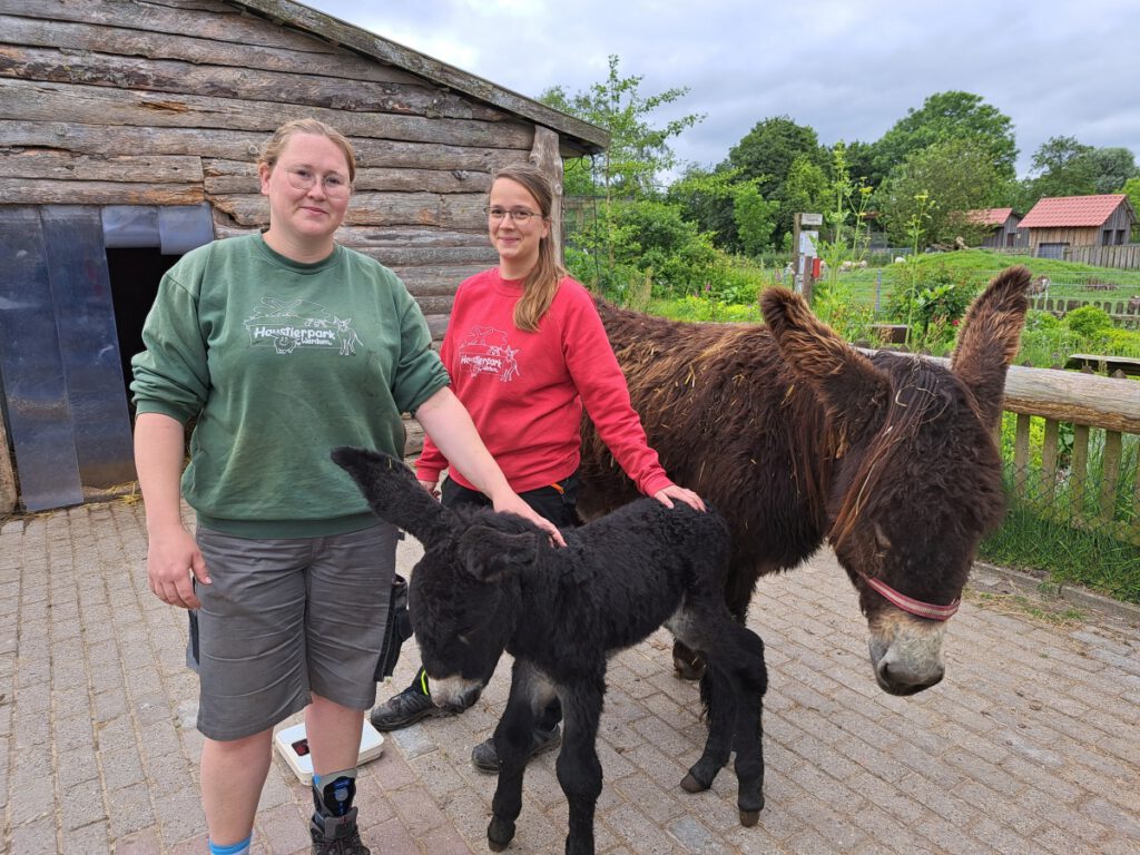 Kristin Bienert und Stefanie Runge freuen sich über den Eselnachwuchs