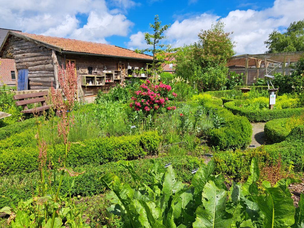 der bunt blühende Kräutergarten ist ein besonderer Blickfang