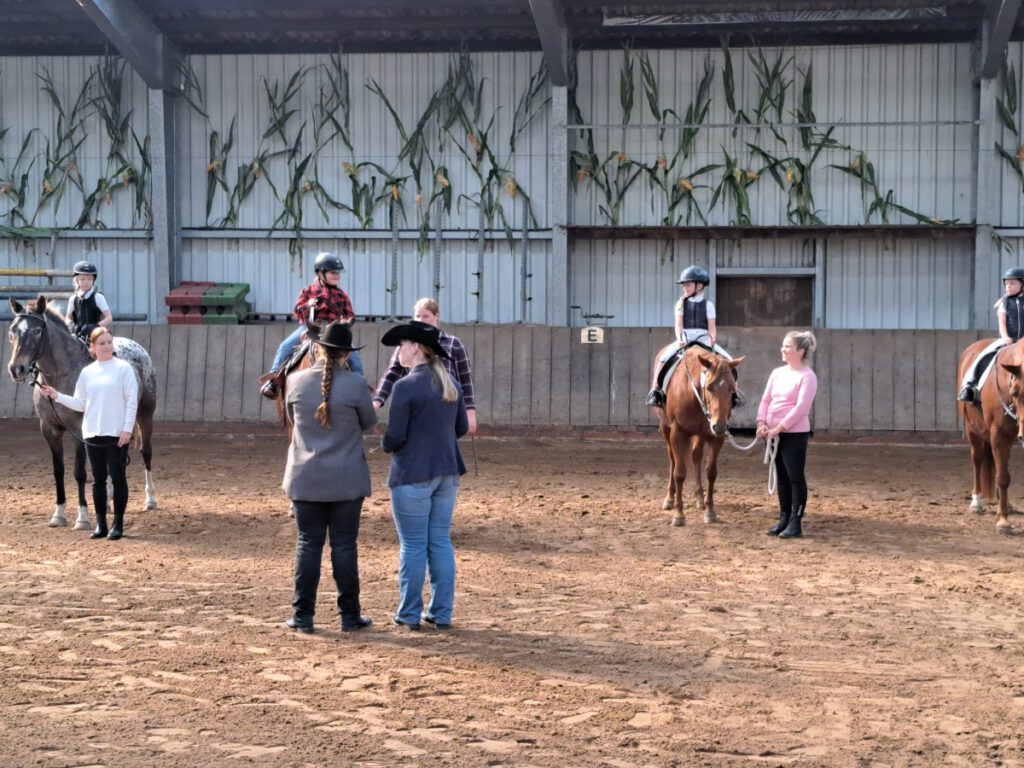 Am 11. August steht nicht das Reiten sondern ein Flohmarkt im Mittelpunkt der Pferdefreunde