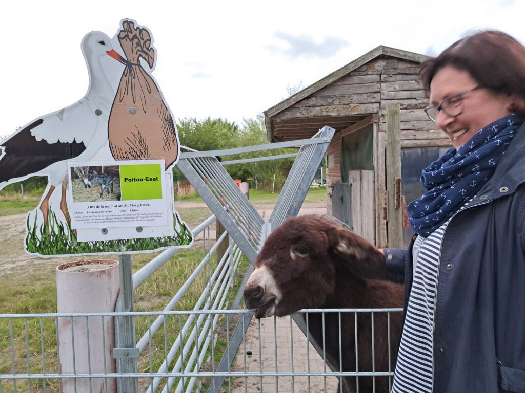 zwischendurch ein Gang zu "Otto" gehört bei Veranstaltungen im Haustierpark dazu