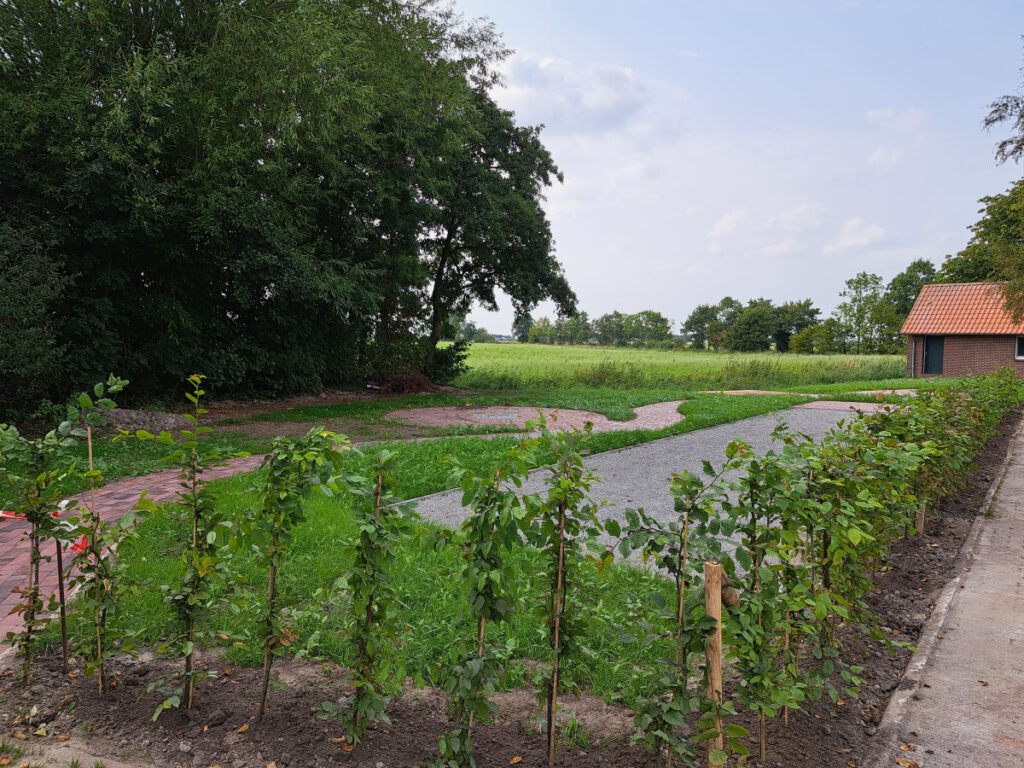 Der Rasen ist wächst, die Hecke ist gepflanzt, die Wege sind verlegt, aber noch fehlen die Hütte und die Sitzbänke