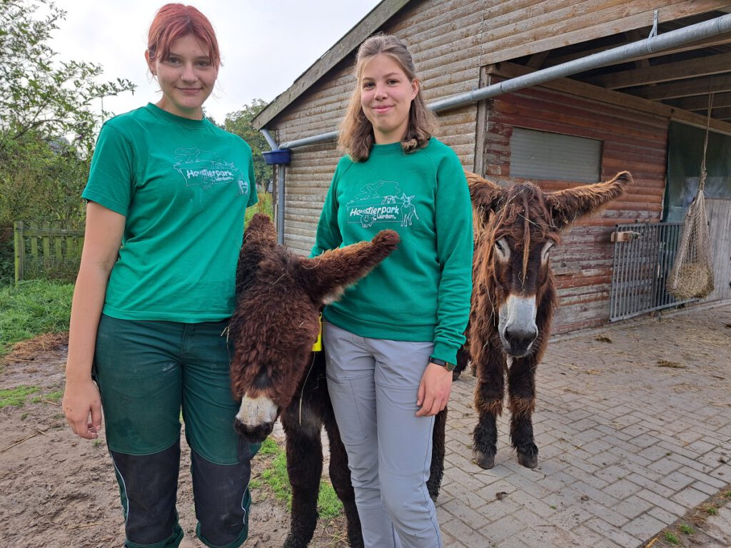 "Otto" lässt sich gerne von Lotta Thalhammer und Viola Specht verwöhnen. Mama "Germania" passt aber auf