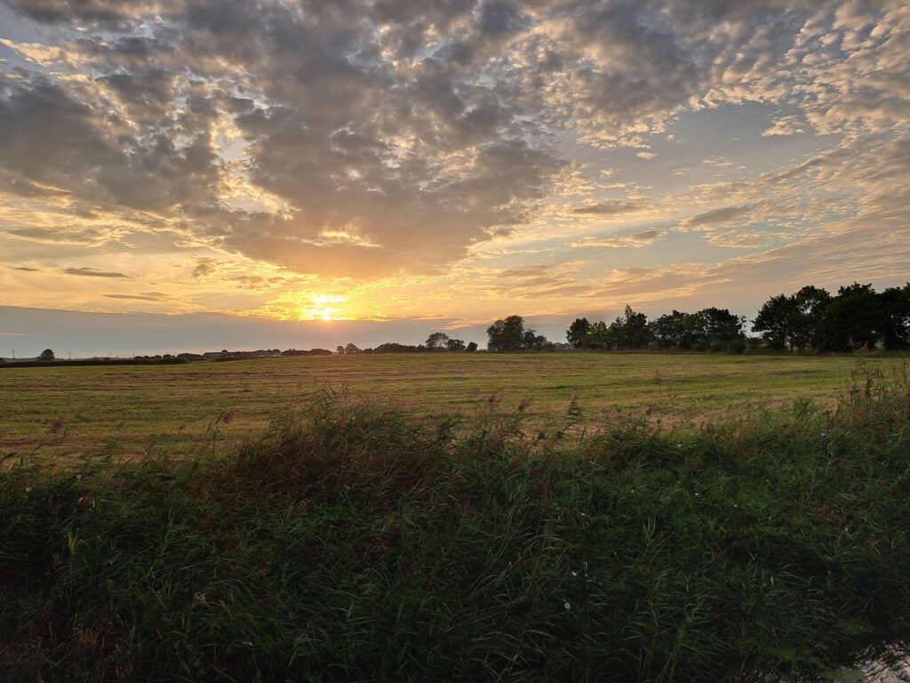 der ganze Himmel färbt sich goldig