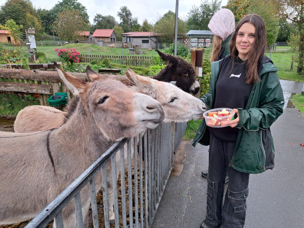 Sophia Milles hat was leckeres und gesundes für die Esel mit dabei