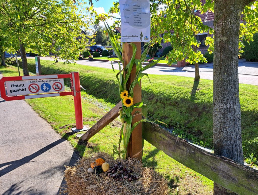 der herbstlich geschmückte Haustierpark lockte zahlreiche Besucher nach Werdum