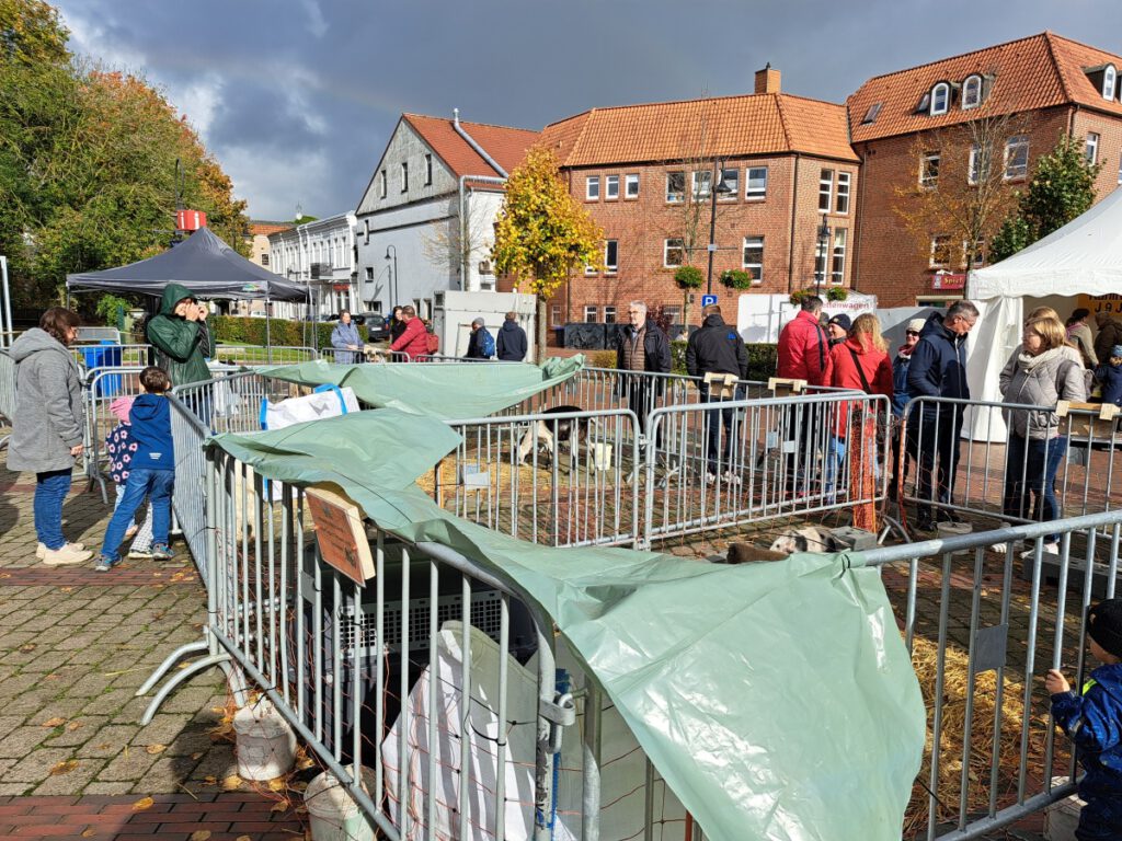 Das Areal des Haustierparks mit Regenschutzfolien "verunschandelt"