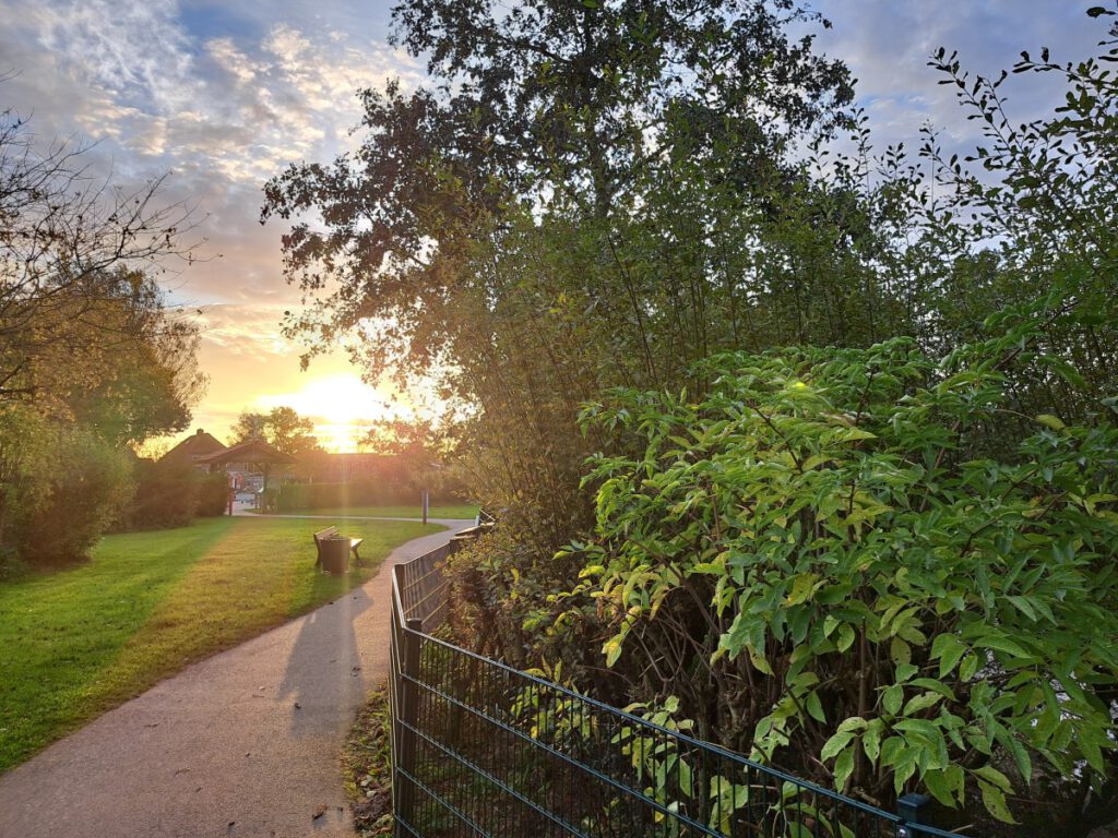 Die Sonne geht auf und beleuchtet den Weg um den Ententeich