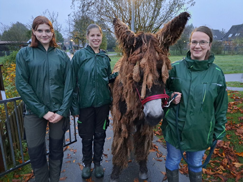 Lotta Thalhammer, Viola Specht und Stefanie Runge heißen "Estragon" im Haustierpark willkommen . Die Stute macht ihrer Rasse, die ja auch als "Zottelesel" bekannt ist wie man sieht alle Ehre