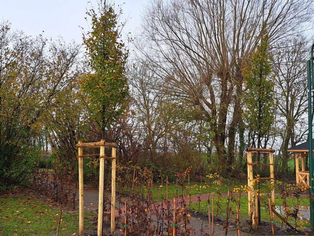 Der Zugang zum Friedhof wurde durch Anpflanzungen von Hainbuchen in den "Pudding-Park" integriert