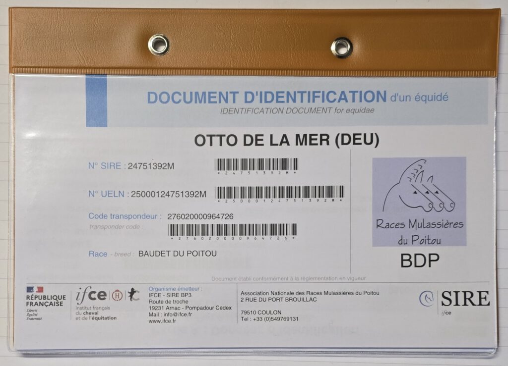 so sieht es aus, das "Document D`DIdentification d`un équidé" von "Otto de la Mer" 