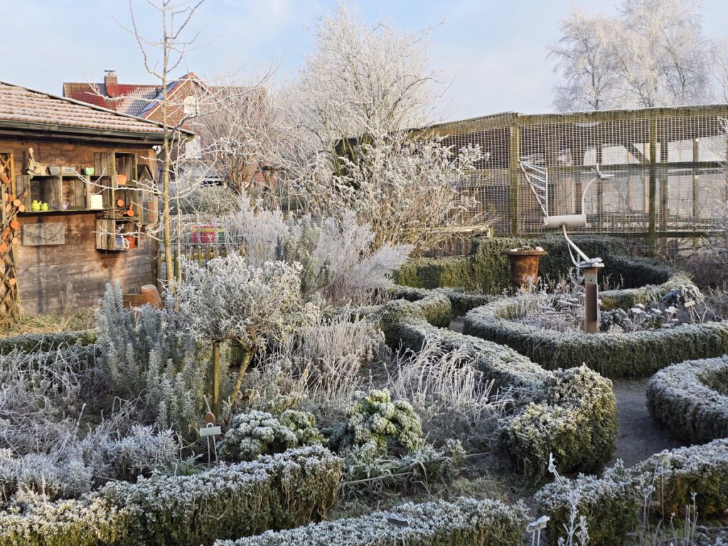 der Kräutergarten präsentiert sich ganz weiß