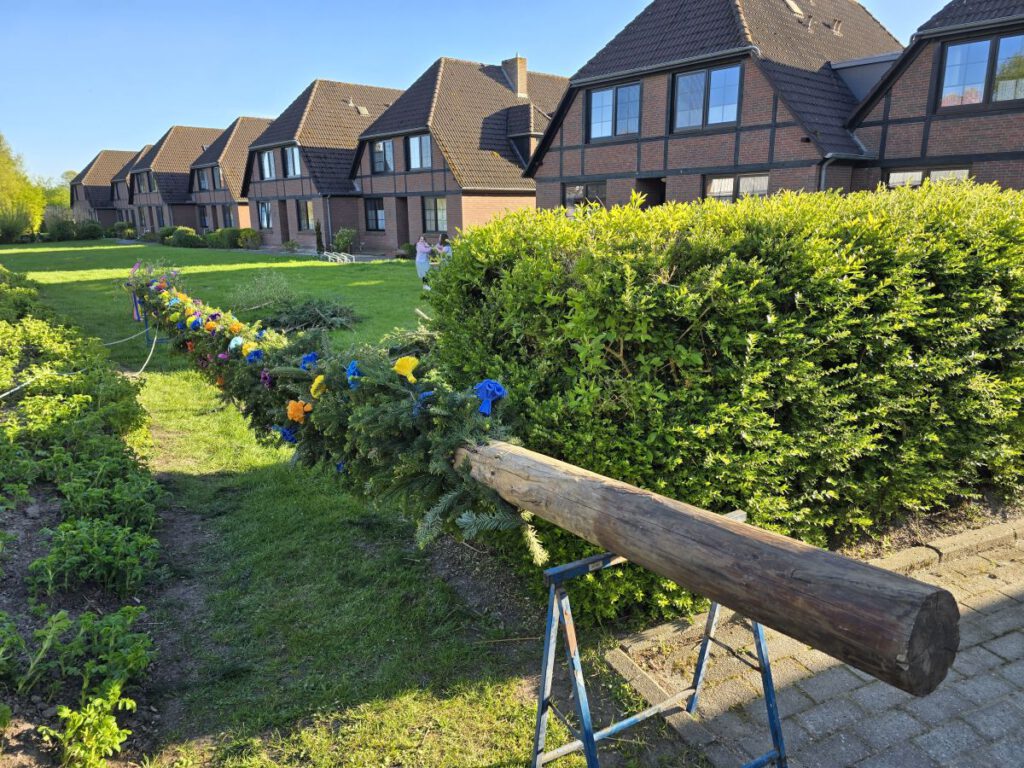 Da liegt er, der Baum vom "Pudding" 15m ragt er aus dem Boden