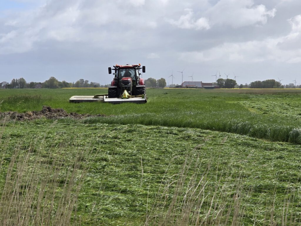 Mit einem großen Mähwerk wird zügig gemäht