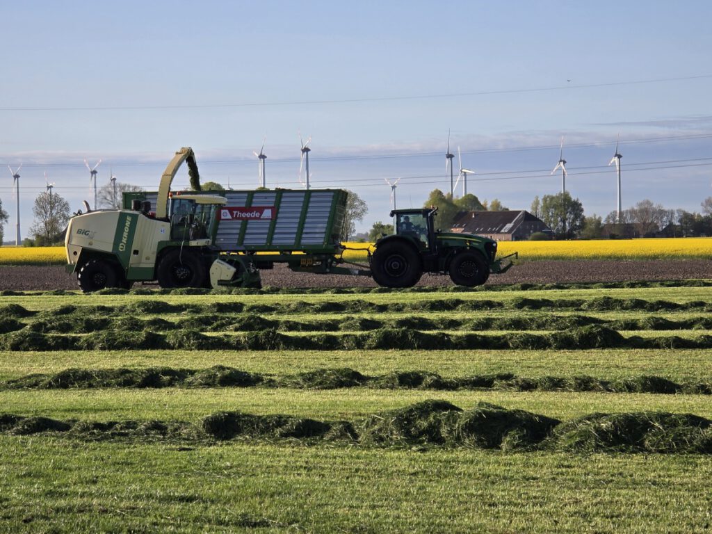 Nur einen Tag später wird mit dem großen Häcksler das Gras aufgenommen und direkt in den Ladewagen geblasen