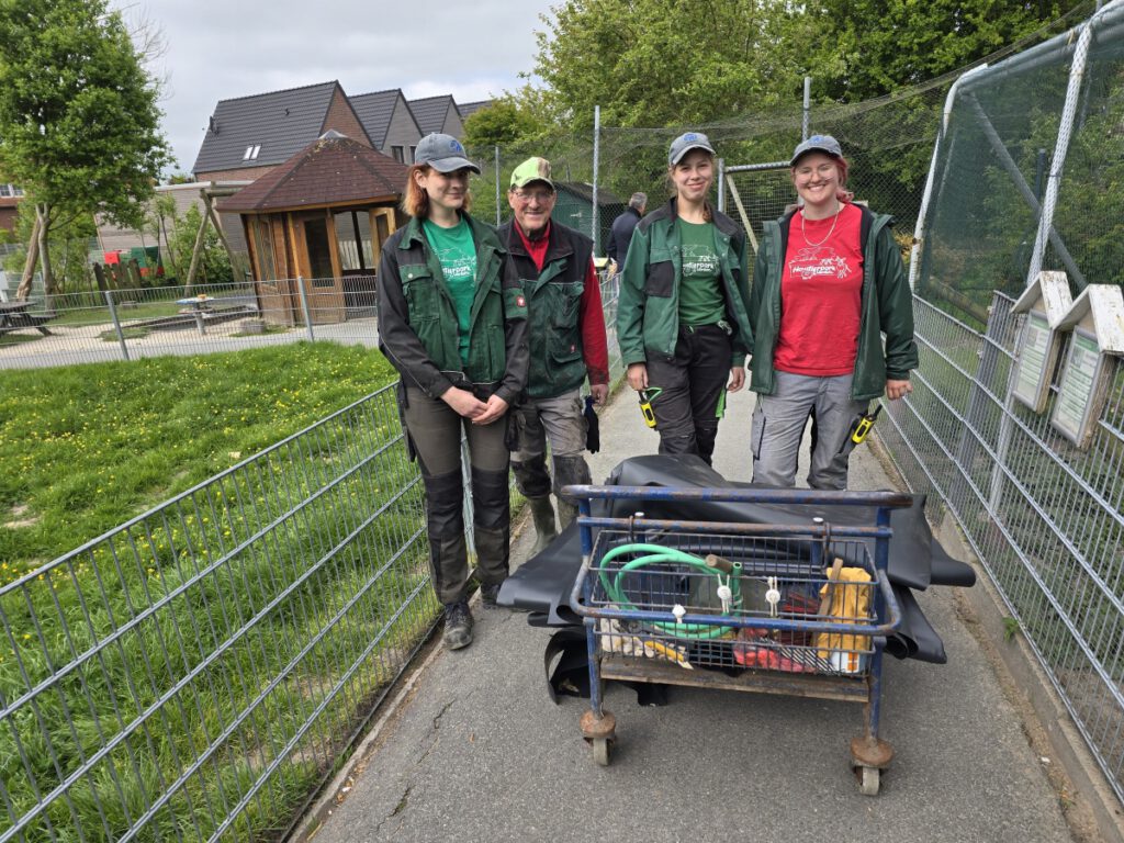 "Schwerlastverkehr" im Haustierpark. Lotta Thalhammer, Schorsch Unger, Viola Specht und Kena Kleen transportieren die schwere Teichfolie an ihren Bestimmungsort