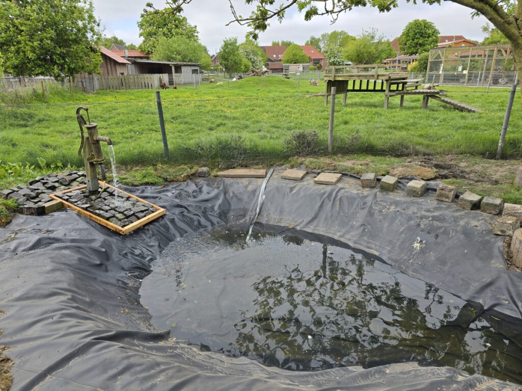 Die Pumpe läuft, der Teich wird wieder geflutet