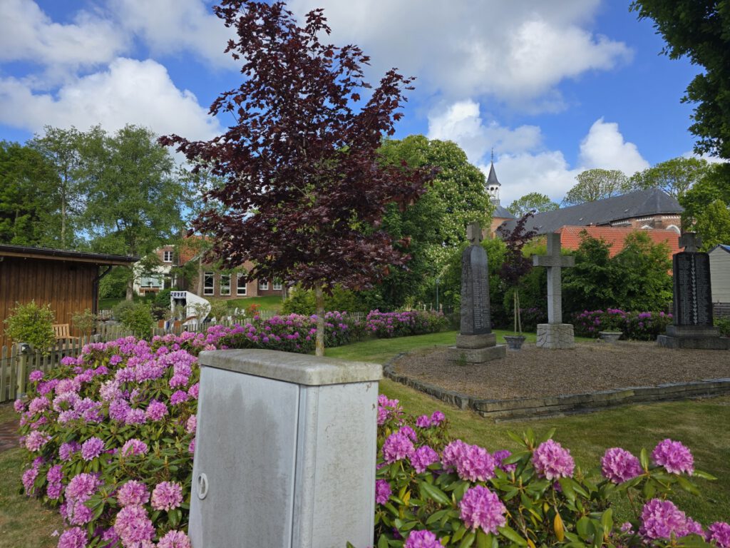 immer um diese Zeit eine Blickfang. Das Ehrenmal mit Blick auf St.-Nicolai von blühender Rhododendronhecke umsäumt
